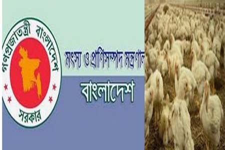 বার্ড ফ্লু রোগের সংক্রমণ ও বিস্তার রোধে আগাম প্রস্তুতি গ্রহণের নির্দেশ