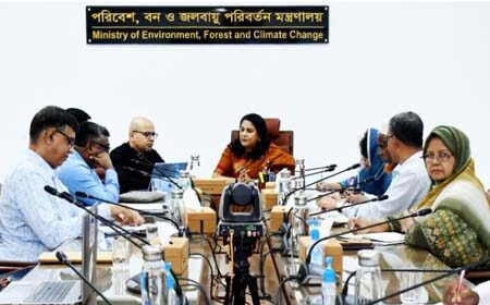 প্রযুক্তি নির্ভর বন