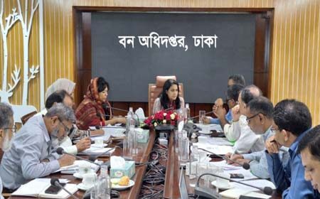 কর্মপরিকল্পনা গ্রহণ