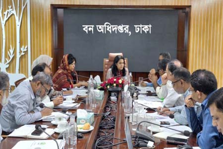 কর্মপরিকল্পনা গ্রহণ