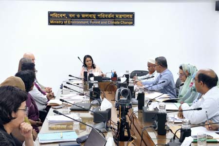 পুন:বনায়ন