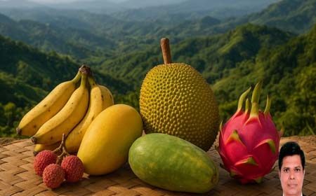 ফলের রাজ্য পার্বত্য চট্টগ্রাম