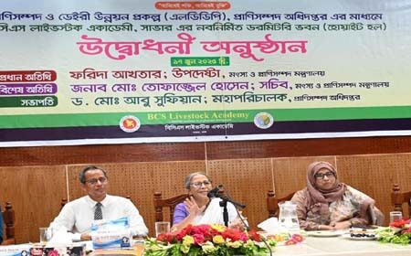 দেশীয় জাতের গবাদিপশু