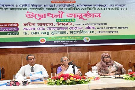 দেশীয় জাতের গবাদিপশু