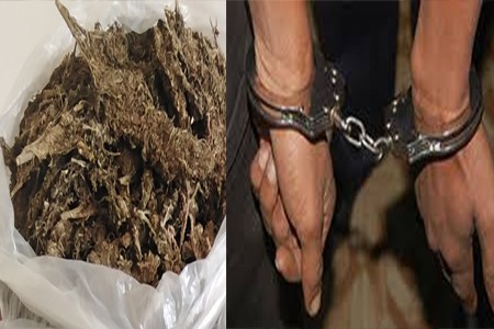 রংপুরে শুকনা গাঁজাসহ যুবক আটক
