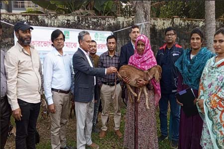 সাতক্ষীরায় উপকারভোগীর মাঝে ছাগল বিতরণ
