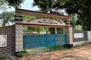 টেন্ডার ছাড়াই বিদ্যালয়ের গাছ কাটলেন সভাপতি-প্রধান শিক্ষক দম্পতি