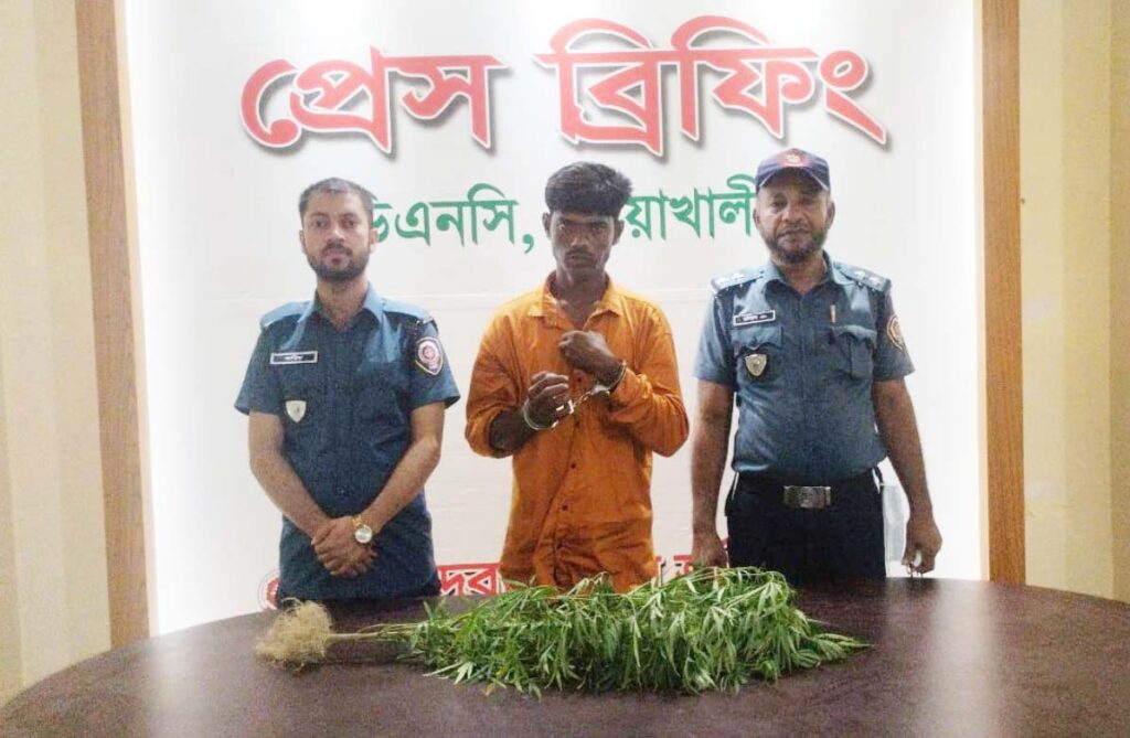 বাড়ির ছাদে গাঁজা চাষ, কেয়ারটেকার গ্রেফতার