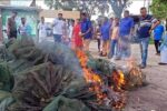 কোটালীপাড়ায় ২ লাখ টাকার নিষিদ্ধ চায়না দুয়ারী জাল উদ্ধার ও পুড়িয়ে ধ্বংস