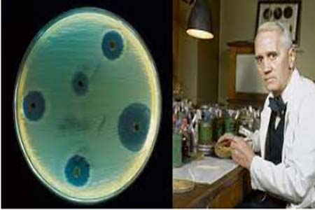 প্রথম পেনিসিলিন প্রস্তকারক