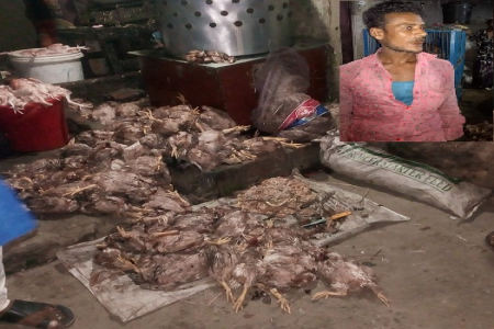 চরফ্যাশনে তিনশত মরা মুরগী বিক্রির জন্য ড্রেসিং up, এক যুবকের ৫০ হাজার টাকা জরিমানা