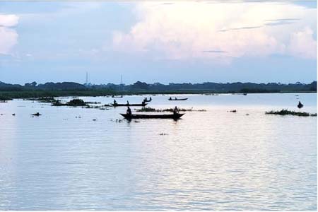 পাল্লা দিয়ে আড়িয়াল খাঁ নদীতে ইলিশ শিকার