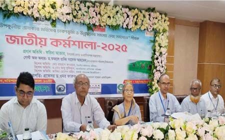 ইলিশ উৎপাদন কমলেও ব্যবস্থা