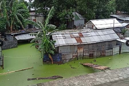 বৃষ্টিতে প্লাবিত পাঁচশ পরিবার