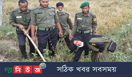 ধামইরহাটে মুজিববর্ষ উপলক্ষে আনসার ভিডিপি অফিসের ১ হাজার তালবীজ রোপন