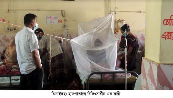 ঝিনাইদহে ডেঙ্গুতে আক্রান্ত হয়ে নারীর মৃত্যু