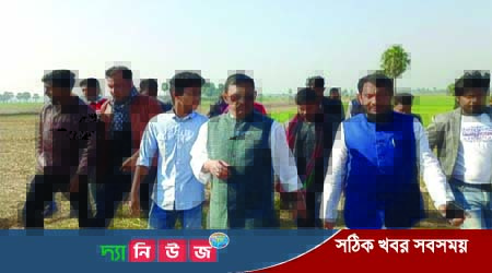 সালথায় পেঁয়াজের বীজতলা পরিদর্শন করেন লাবু চৌধুরী