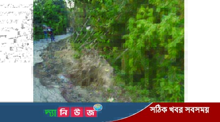 মধুখালীতে পাকা রাস্তা ধস, পথ চলাচলে বিপদজনক