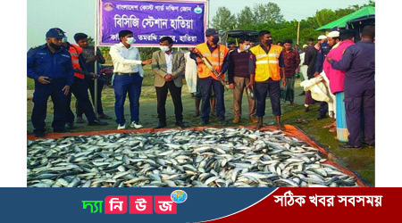 হাতিয়ায় ৭০০ কেজি জাটকা ইলিশ জব্দ