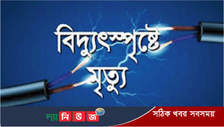 নোয়াখালীতে বিদ্যুৎপৃষ্ট হয়ে দাদী-নাতীর মৃত্যু