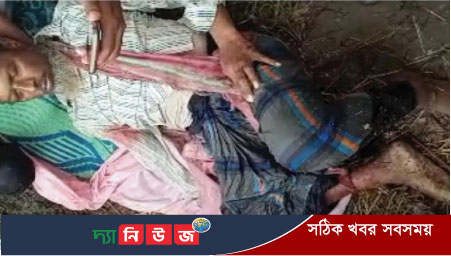 পঞ্চগড়ে সড়ক দূর্ঘটনায় বাবা-ছেলের মৃত্যু