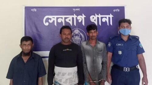 সেনবাগে সাজাপ্রাপ্ত ও মাদক মামলার ১৩ আসামি গ্রেফতার