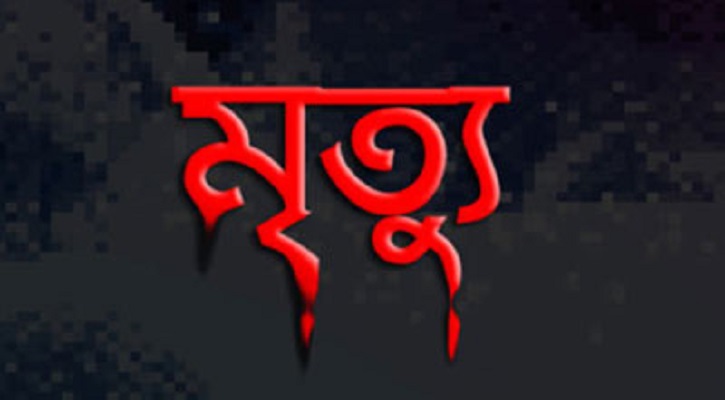 নবীগঞ্জে ভাইয়ের মৃত্যুর খবর শোনে শোকে ৫ ঘন্টা ব্যবধানে বোনের মৃত্যু