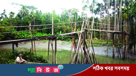 বাগেরহাটের মোরেলগঞ্জে পুলের অভাবে শিক্ষার্থীরা ঝুঁকি নিয়ে পার হচ্ছে সাঁকো