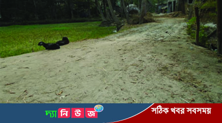 জোরপূর্বক ব্যক্তি মালিকানা জায়গা দখল করে সরকারী রাস্তা মেরামত করার অভিযোগ
