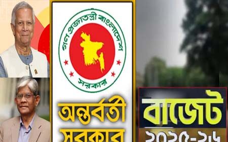 অন্তর্বর্তী সরকারের প্রথম বাজেট
