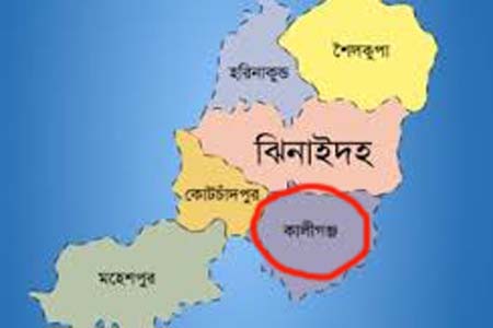 ঝিনাইদহ কালীগঞ্জে জামাল ইউনিয়ন পরিষদের বাজেট ঘোষণা