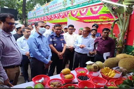 ঝিনাইদহে ৩ দিন ব্যাপী জাতীয় ফল মেলা শুরু