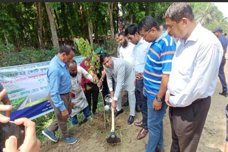 বৃক্ষরোপন কর্মসূচীর উদ্বোধন