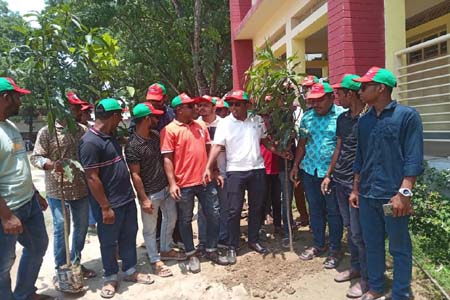 ঝিনাইদহে ছাত্রলীগের বৃক্ষরোপণ, খাবার পানি ও স্যালাইন বিতরণ