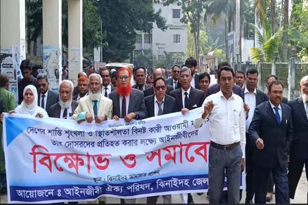 ঝিনাইদহে আইনজীবী ঐক্যপরিষদের বিক্ষোভ