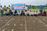 আখের মূল্য বৃদ্ধি, বাড়ছে আখচাষ, মোবারকগঞ্জ সুগার মিলে রোপন মৌসুমের উদ্বোধন