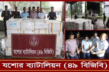 যশোরে বিজিবির অভিযানে বিষাক্ত জেলি পুশ করা বিপুল পরিমাণ চিংড়ি মাছ গলদা, বাগদা ও হরিনা আটক