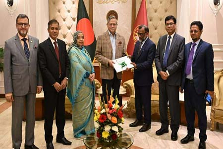 জুডিশিয়াল সার্ভিস