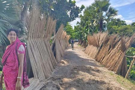 শতকোটি টাকা আয়ের সম্ভাবনা
