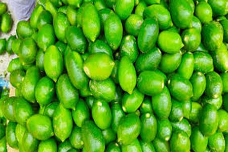 পাইকগাছায় কাগজি লেবুর বাম্পার ফলন