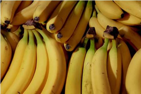 রাসায়নিক মুক্ত  জাগ দিয়ে পাকানো কলার চাহিদা বাড়ছে