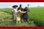 তৃষ্ণার্ত কৃষকের পাশে সাবেক ছাত্রনেতা জুয়েল: ১২ গ্রামে সুপেয় পানির নলকূপ স্থাপন