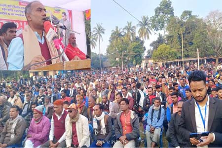 বিএনপির জনসভা