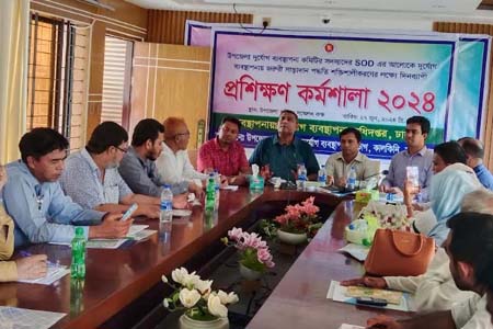 কালকিনিতে দুর্যোগ ব্যবস্থাপনা কমিটির প্রশিক্ষণ কর্মশালা অনুষ্ঠিত