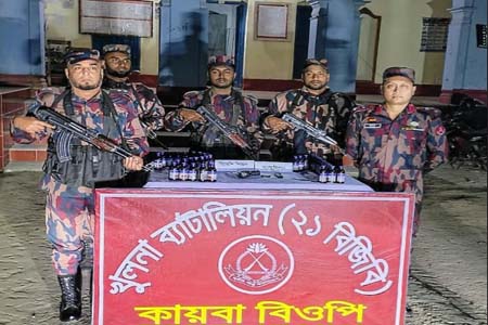 বিজিবির অভিযানে পিস্তল