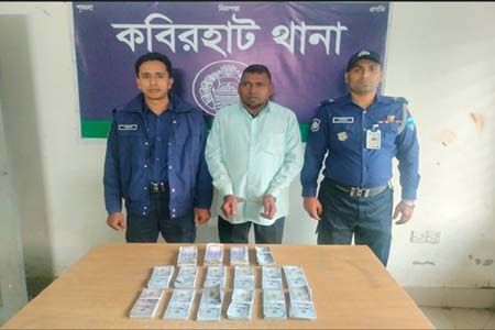 নোয়াখালীতে ১৩ বান্ডেল জাল ডলার ও টাকা জব্দ, গ্রেপ্তার-১