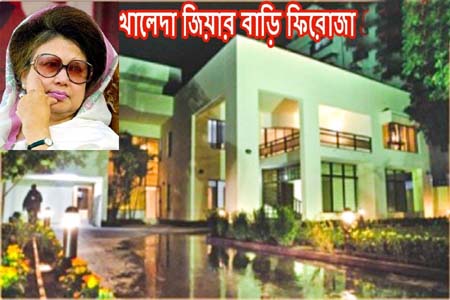 ফিরোজার নামজারির কাগজ