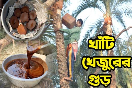 খেজুরের গুড় চেনার উপায়