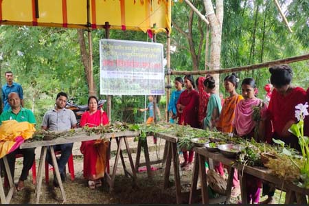 শ্যামনগরে জলজ উদ্ভিদের মেলা