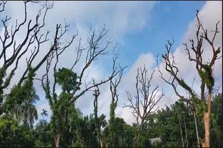 হুমকির মুখে প্রকৃতি ও পরিবেশ